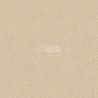 Ковролин Radici Abetone Polvere 4838 фото 1 | FLOORDEALER